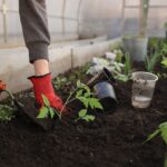 recruitment-for-gardener-in-canada-work-in-canada